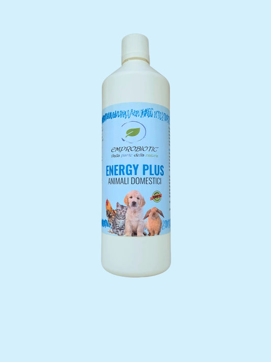 Energy Plus per animali domestici