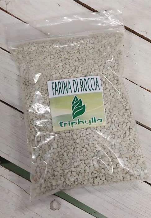 Zeolite  Agricoltura Polvere di Zeolite Chabasite  contrasto malattie fungine afidi a Rocciatore (500 grammi)